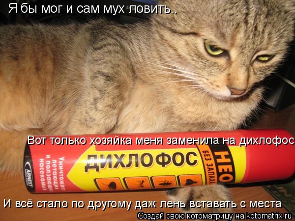 Я бы мог и сам мух ловить.. Вот только хозяйка меня заменила на дихлофос И всё стало по другому даж л... Котоматрица: Я бы мог и сам мух ловить.. Вот только хозяйка меня заменила на дихлофос И всё стало по другому даж лень вставать с места