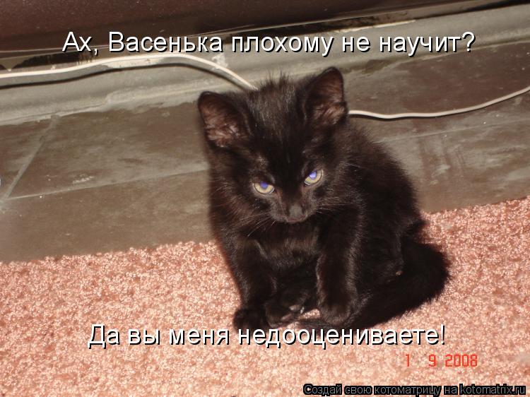 Да вы меня недооцениваете! Ах, Васенька плохому не научит?... Котоматрица: Да вы меня недооцениваете! Ах, Васенька плохому не научит?