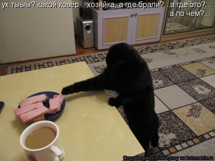 ух тыыы? какой ковер... хозяйка, а где брали?...а где это?... а по чем?...... Котоматрица: ух тыыы? какой ковер... хозяйка, а где брали?...а где это?... а по чем?...
