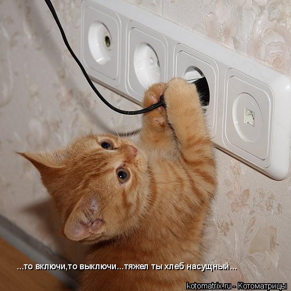...то включи,то выключи...тяжел ты хлеб насущный...... Котоматрица: ...то включи,то выключи...тяжел ты хлеб насущный...