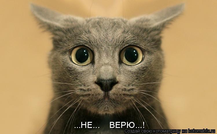 ...НЕ... ВЕРЮ...!... Котоматрица: ...НЕ... ВЕРЮ...!