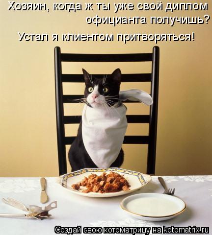 Хозяин, когда ж ты уже свой диплом официанта получишь? Устал я клиентом притворяться!... Котоматрица: Хозяин, когда ж ты уже свой диплом официанта получишь? Устал я клиентом притворяться!