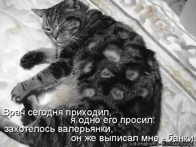 захотелось валерьянки, он же выписал мне - банки! я одно его просил: Врач сегодня приходил,... Котоматрица: захотелось валерьянки, он же выписал мне - банки! я одно его просил: Врач сегодня приходил,