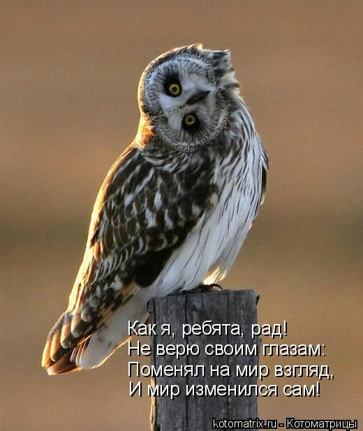 Как я, ребята, рад! Не верю своим глазам: Поменял на мир взгляд, И мир изменился сам!... Котоматрица: Как я, ребята, рад! Не верю своим глазам: Поменял на мир взгляд, И мир изменился сам!