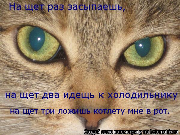 На щет раз засыпаешь, на щет два идещь к холодильнику на щет три ложишь котлету мне в рот.... Котоматрица: На щет раз засыпаешь, на щет два идещь к холодильнику на щет три ложишь котлету мне в рот.