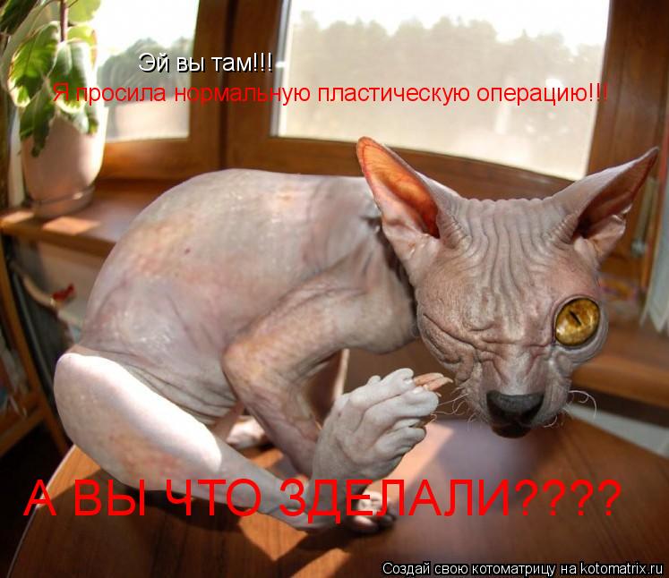 Эй вы там!!! Я просила нормальную пластическую операцию!!! А ВЫ ЧТО ЗДЕЛАЛИ????... Котоматрица: Эй вы там!!! Я просила нормальную пластическую операцию!!! А ВЫ ЧТО ЗДЕЛАЛИ????