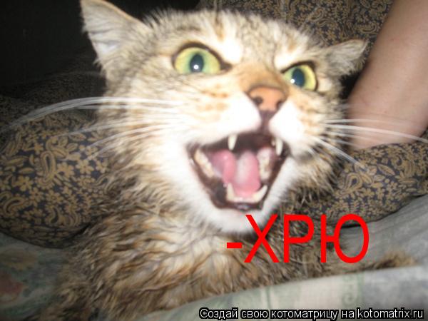 -ХРЮ... Котоматрица: -ХРЮ