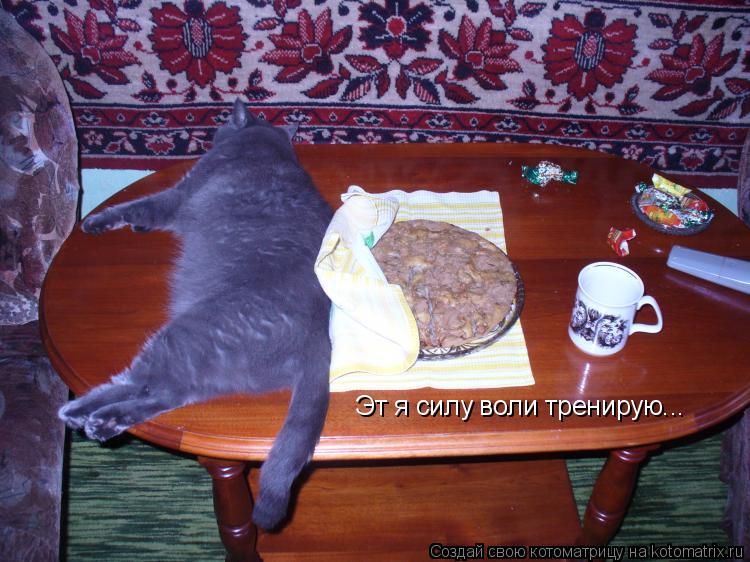 Эт я силу воли тренирую...... Котоматрица: Эт я силу воли тренирую...