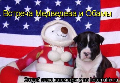 Встреча Медведева и Обамы... Котоматрица: Встреча Медведева и Обамы