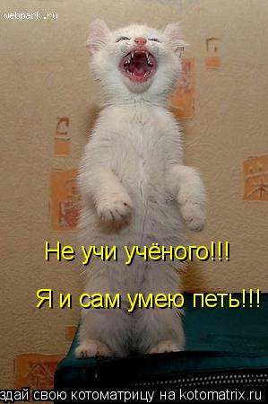 Я и сам умею петь!!! Не учи учёного!!!... Котоматрица: Я и сам умею петь!!! Не учи учёного!!!