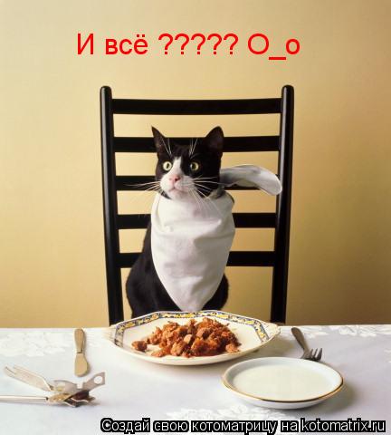 И всё ????? О_о... Котоматрица: И всё ????? О_о