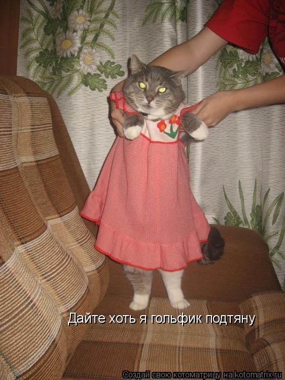Дайте хоть я гольфик подтяну... Котоматрица: Дайте хоть я гольфик подтяну