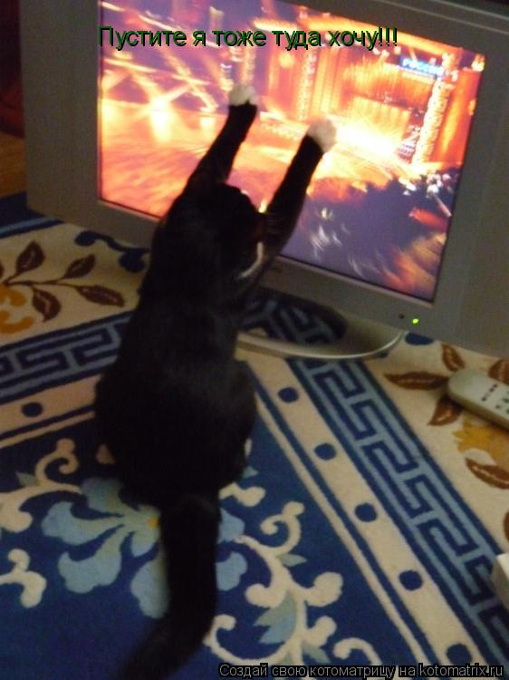 Пустите я тоже туда хочу!!!... Котоматрица: Пустите я тоже туда хочу!!!