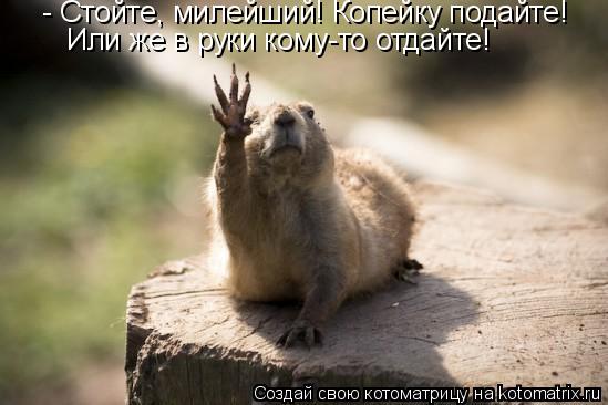 - Стойте, милейший! Копейку подайте! Или же в руки кому-то отдайте!... Котоматрица: - Стойте, милейший! Копейку подайте! Или же в руки кому-то отдайте!