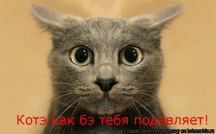 Котэ как бэ тебя подавляет!... Котоматрица: Котэ как бэ тебя подавляет!