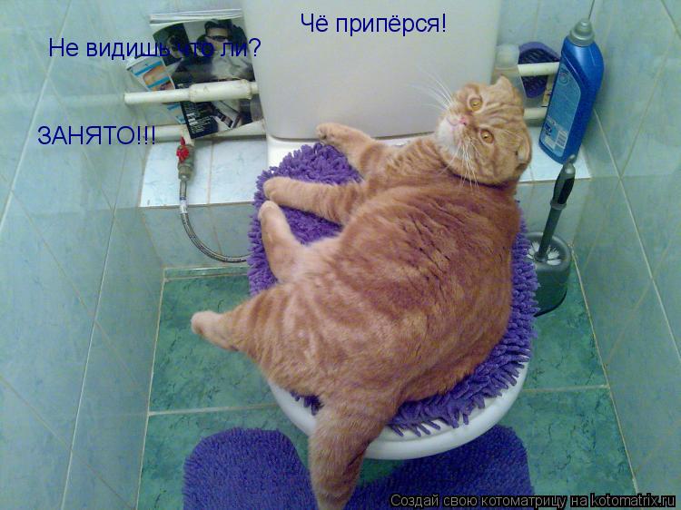 Чё припёрся! Не видишь что ли? ЗАНЯТО!!!... Котоматрица: Чё припёрся! Не видишь что ли? ЗАНЯТО!!!