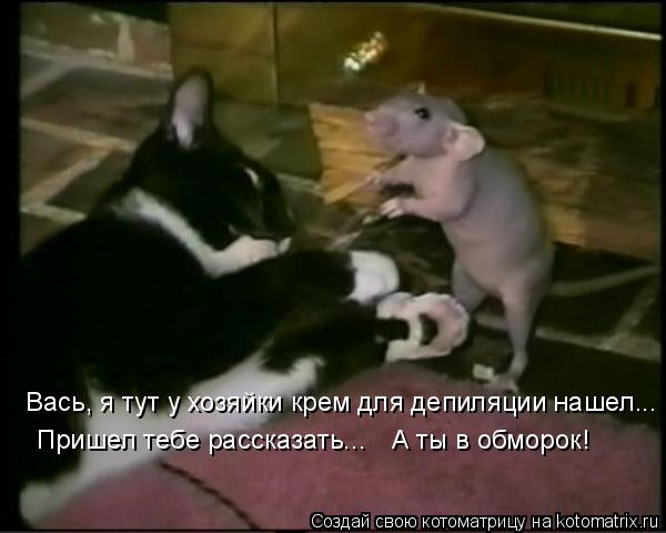 Вась, я тут у хозяйки крем для депиляции нашел... Пришел тебе рассказать... А ты в обморок!... Котоматрица: Вась, я тут у хозяйки крем для депиляции нашел... Пришел тебе рассказать... А ты в обморок!