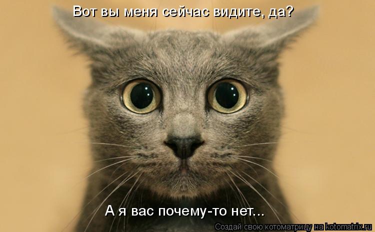 Котоматрица: Вот вы меня сейчас видите, да? А я вас почему-то нет...