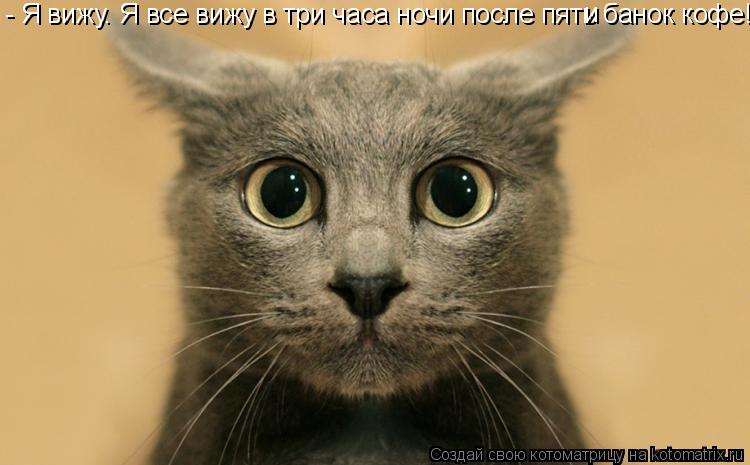 - Я вижу. Я все вижу в три часа ночи после пять банок кофе! и... Котоматрица: - Я вижу. Я все вижу в три часа ночи после пять банок кофе! и