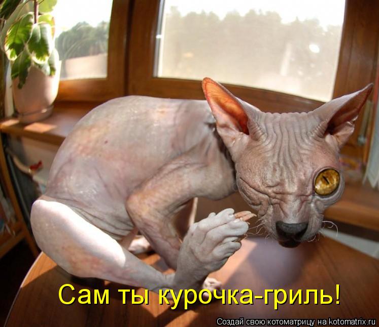Сам ты курочка-гриль!... Котоматрица: Сам ты курочка-гриль!