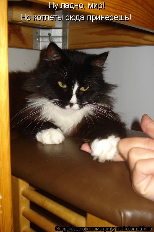 Ну ладно, мир! Но котлеты сюда принесешь!... Котоматрица: Ну ладно, мир! Но котлеты сюда принесешь!