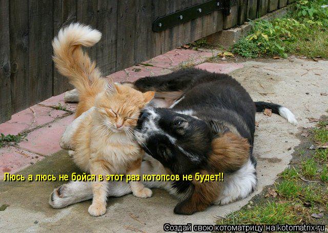 Люсь а люсь не бойся в этот раз котопсов не будет!!... Котоматрица: Люсь а люсь не бойся в этот раз котопсов не будет!!