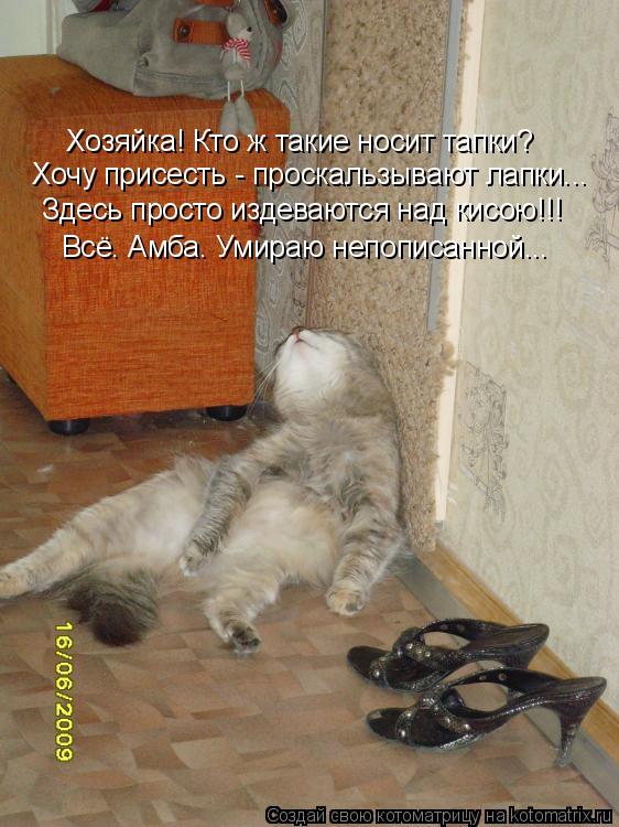 Котоматрица: Хозяйка! Кто ж такие носит тапки? Здесь просто издеваются над кисою!!! Всё. Амба. Умираю непописанной... Хочу присесть - проскальзывают лапки...
