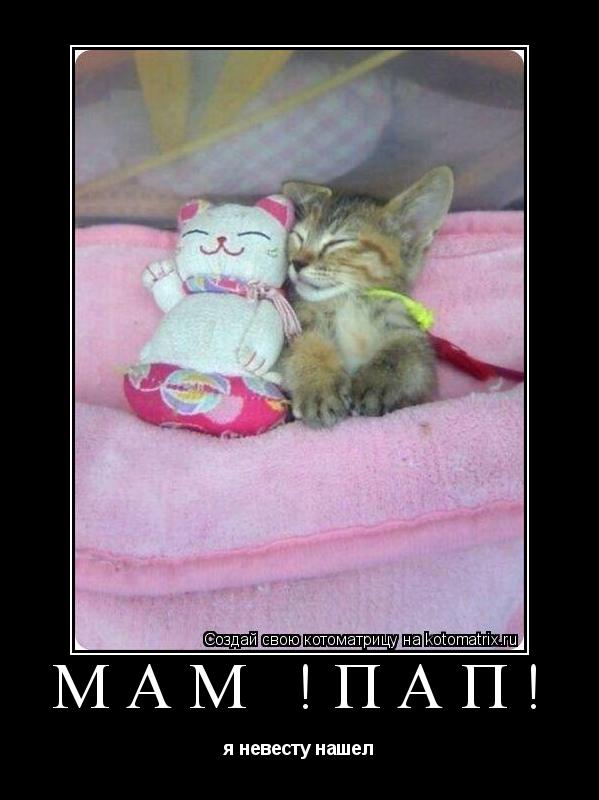 мам !пап! я невесту нашел... Котоматрица: мам !пап! я невесту нашел