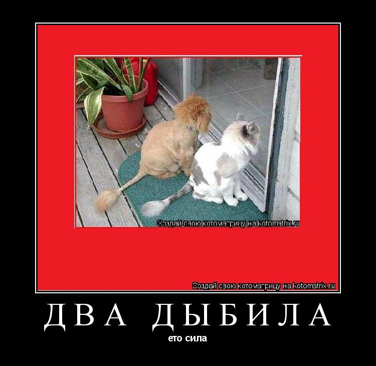 два дыбила ето сила... Котоматрица: два дыбила ето сила