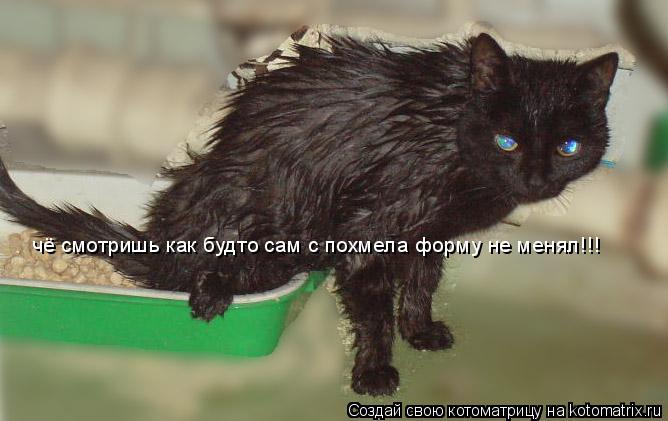 чё смотришь как будто сам с похмела форму не менял!!!... Котоматрица: чё смотришь как будто сам с похмела форму не менял!!!