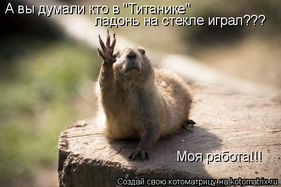 А вы думали кто в "Титанике" ладонь на стекле играл??? Моя работа!!!... Котоматрица: А вы думали кто в "Титанике" ладонь на стекле играл??? Моя работа!!!