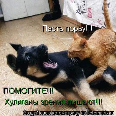 Пасть порву!!! ПОМОГИТЕ!!! Хулиганы зрения лишают!!!... Котоматрица: Пасть порву!!! ПОМОГИТЕ!!! Хулиганы зрения лишают!!!