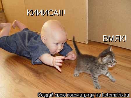 КИИИСА!!! ВМЯК!... Котоматрица: КИИИСА!!! ВМЯК!