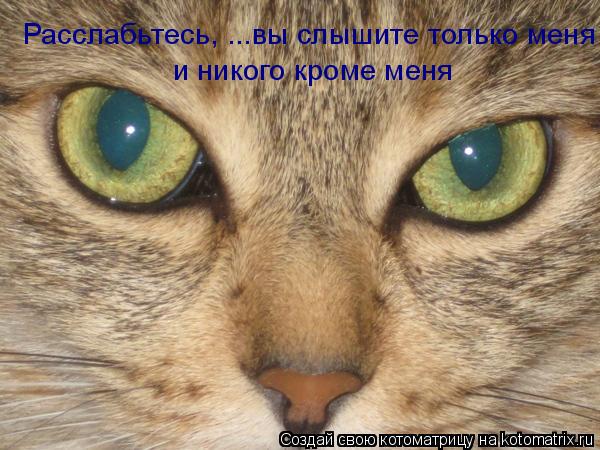 Расслабьтесь, ...вы слышите только меня и никого кроме меня... Котоматрица: Расслабьтесь, ...вы слышите только меня и никого кроме меня