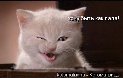 хочу быть как папа!... Котоматрица: хочу быть как папа!