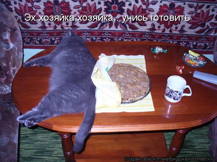 Эх хозяйка,хозяйка...учись готовить... Котоматрица: Эх хозяйка,хозяйка...учись готовить