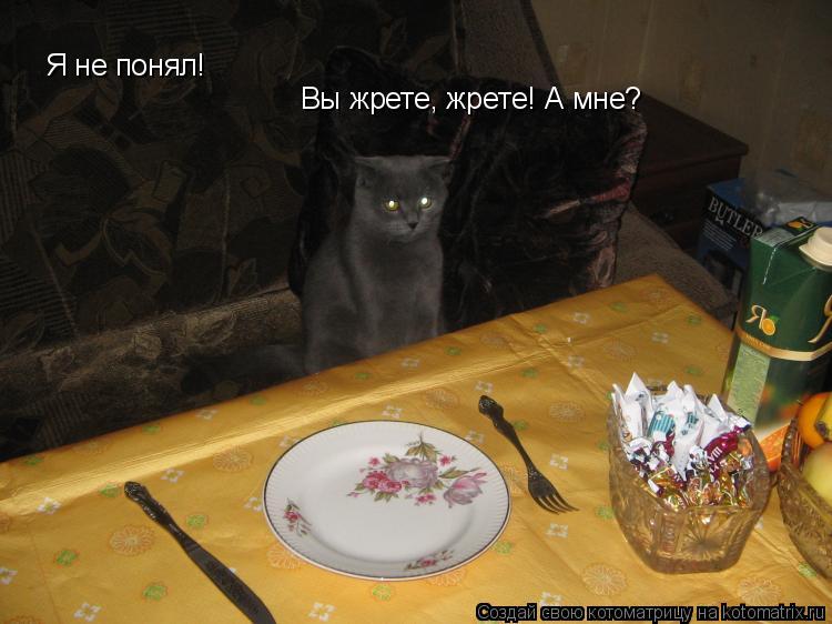 Я не понял! Вы жрете, жрете! А мне?... Котоматрица: Я не понял! Вы жрете, жрете! А мне?