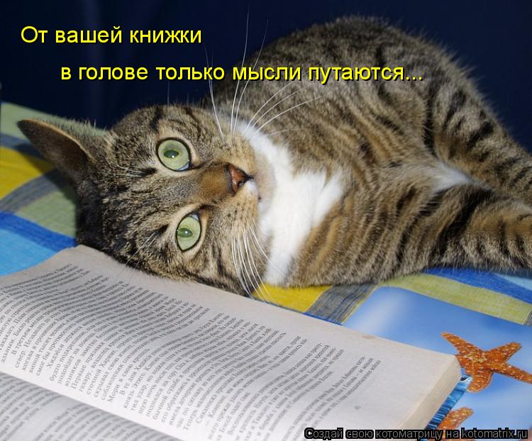 От вашей книжки в голове только мысли путаются...... Котоматрица: От вашей книжки в голове только мысли путаются...