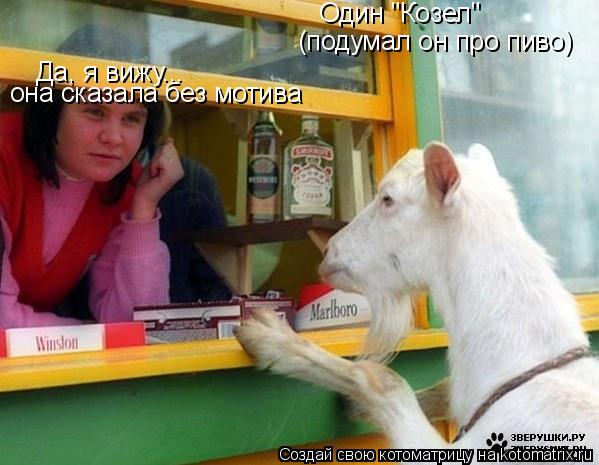Да, я вижу... Один "Козел" (подумал он про пиво) она сказала без мотива... Котоматрица: Да, я вижу... Один "Козел" (подумал он про пиво) она сказала без мотива