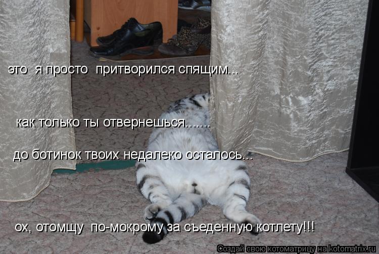 как только ты отвернешься....... до ботинок твоих недалеко осталось... это я просто притворился сп... Котоматрица: как только ты отвернешься....... до ботинок твоих недалеко осталось... это я просто притворился спящим... ох, отомщу по-мокрому за съеденную к