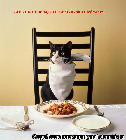 ХМ И ЧТОЖЕ ОНИ ЗАДУМАЛИ?или нагидили в мой туалет?... Котоматрица: ХМ И ЧТОЖЕ ОНИ ЗАДУМАЛИ?или нагидили в мой туалет?