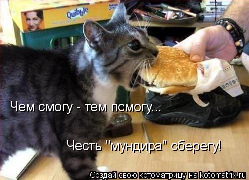 Чем смогу - тем помогу... Честь "мундира" сберегу!... Котоматрица: Чем смогу - тем помогу... Честь "мундира" сберегу!