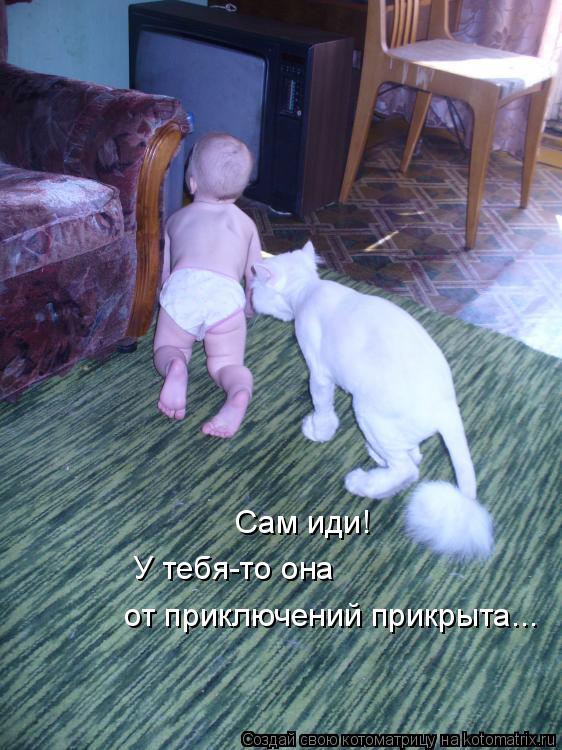 У тебя-то она от приключений прикрыта... Сам иди!... Котоматрица: У тебя-то она от приключений прикрыта... Сам иди!
