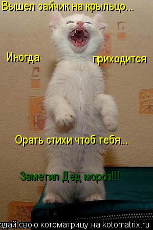 Вышел зайчик на крыльцо... Иногда приходится Орать стихи чтоб тебя... Заметил Дед мороз!!!... Котоматрица: Вышел зайчик на крыльцо... Иногда приходится Орать стихи чтоб тебя... Заметил Дед мороз!!!