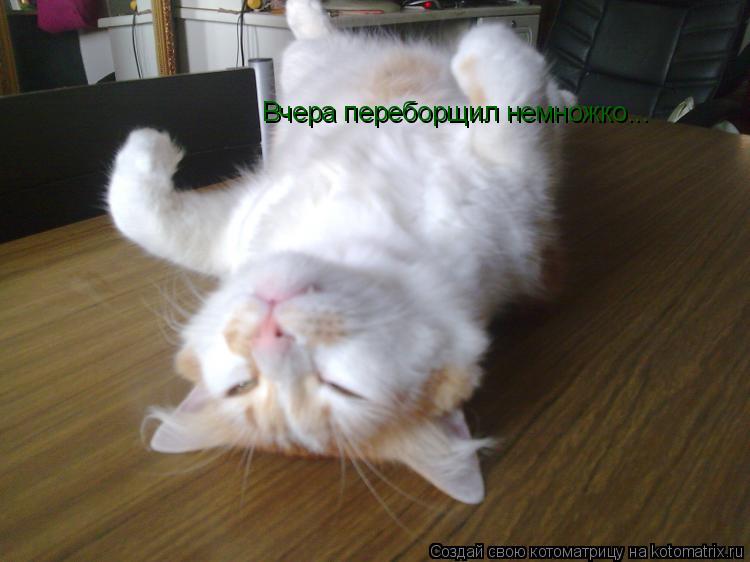 Вчера переборщил немножко...... Котоматрица: Вчера переборщил немножко...