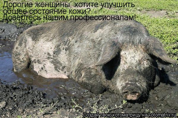 Дорогие женщины, хотите улучшить общее состояние кожи? Довертесь нашим профессионалам!... Котоматрица: Дорогие женщины, хотите улучшить общее состояние кожи? Довертесь нашим профессионалам!
