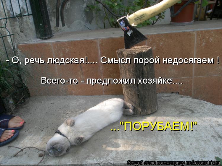 - О, речь людская!.... Смысл порой недосягаем ! Всего-то - предложил хозяйке.... ..."ПОРУБАЕМ!"... Котоматрица: - О, речь людская!.... Смысл порой недосягаем ! Всего-то - предложил хозяйке.... ..."ПОРУБАЕМ!"
