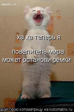 ха ха теперь я повелитель мира может останови сёмки... Котоматрица: ха ха теперь я повелитель мира может останови сёмки