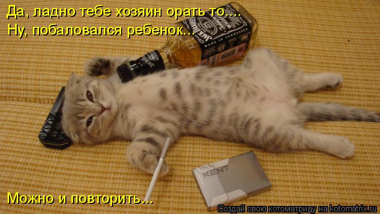 Да, ладно тебе хозяин орать то.... Ну, побаловался ребенок... Можно и повторить...... Котоматрица: Да, ладно тебе хозяин орать то.... Ну, побаловался ребенок... Можно и повторить...