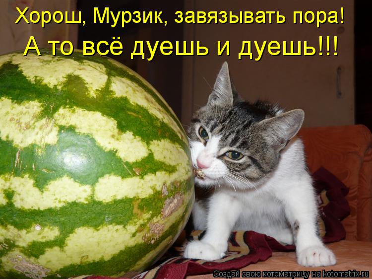 Хорош, Мурзик, завязывать пора! А то всё дуешь и дуешь!!!... Котоматрица: Хорош, Мурзик, завязывать пора! А то всё дуешь и дуешь!!!